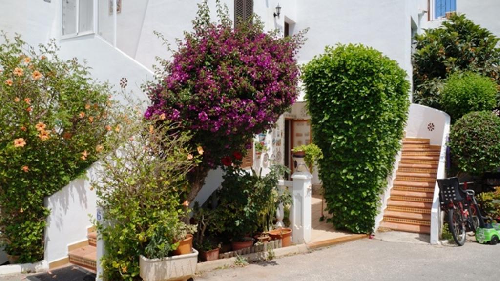 Patio Andaluz Apartment เดเนีย ภายนอก รูปภาพ