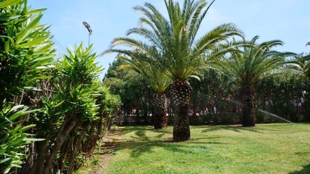 Patio Andaluz Apartment เดเนีย ภายนอก รูปภาพ