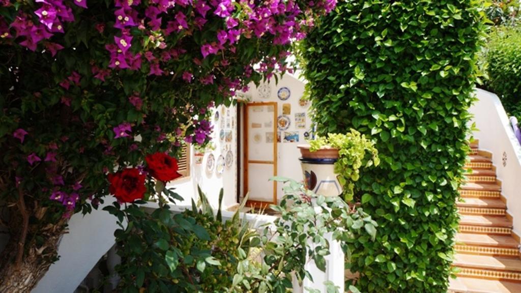 Patio Andaluz Apartment เดเนีย ภายนอก รูปภาพ